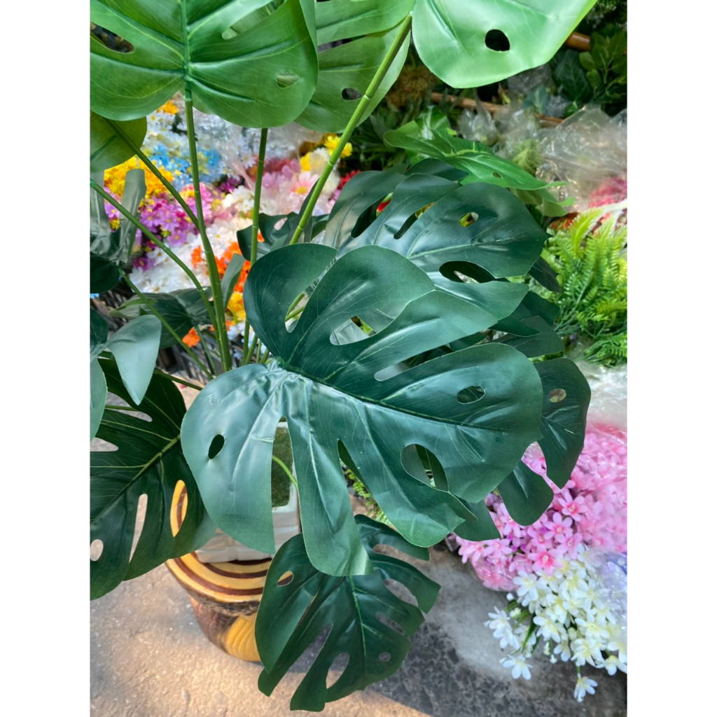 Cây giả cây lá rùa giả cao 80cm trang trí decor nhà cửa bền đẹp cây giả trang trí