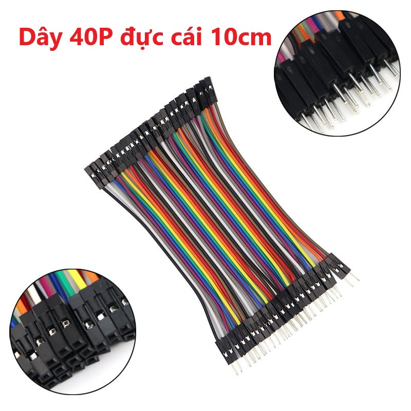 Tệp Dây 40P 10cm 3 loại đực cái, đực đực, cái cái