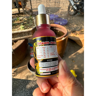 Vitamin nano thái lan vitamin chim cảnh
