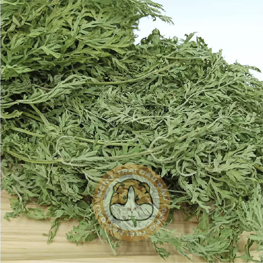 Lá Cà Rốt Cho Thỏ, Bọ Ú, Chinchilla Giàu Vitamin 100g 250g