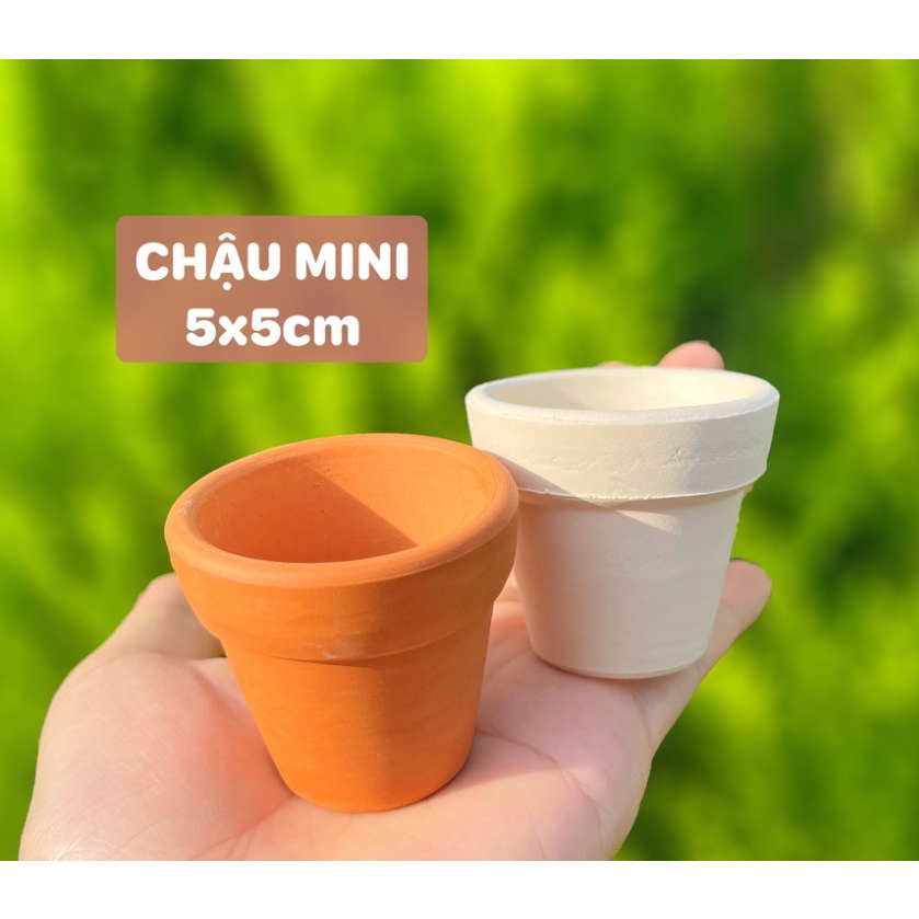 Chậu đất nung 5x5cm - trồng sen đá, xương rồng mini / chậu nâu đất
