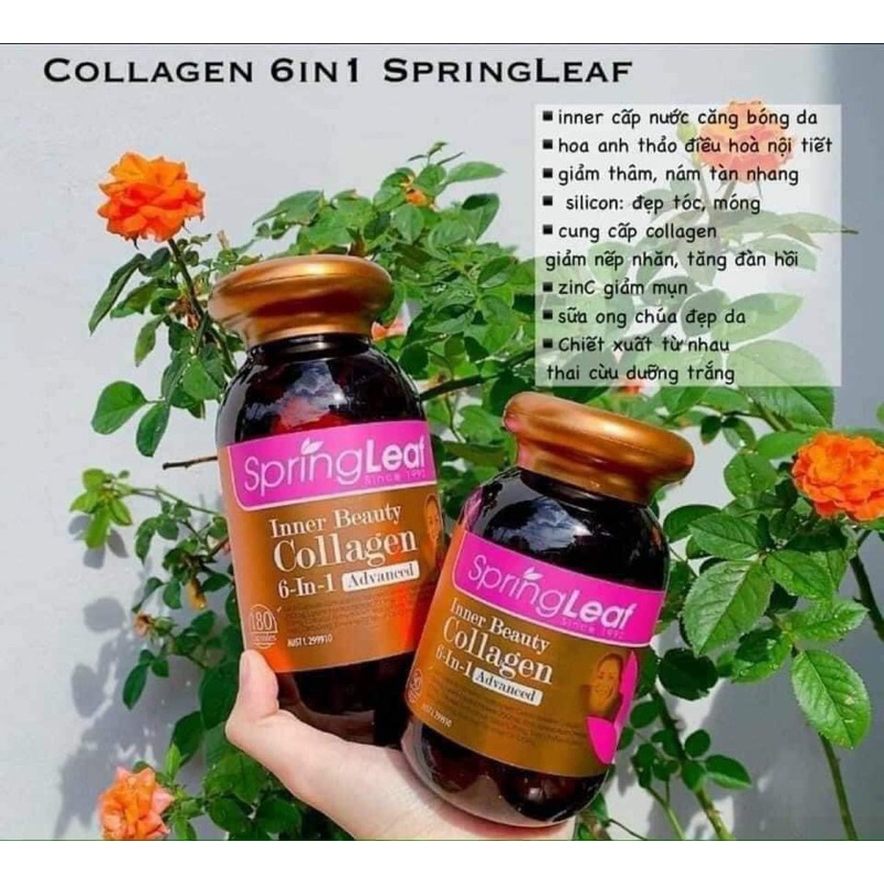 Viên collagen Spring Leaf Inner Beauty collagen 6-in-1 Advanced chính hãng Úc 90v / 180v chống lão hóa đẹp da