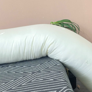 Ruột gối ôm tơ tằm- tokyo.bedding