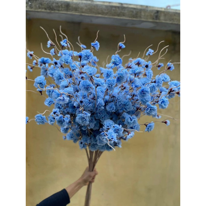 Hoa đào giả,hoa đào râu,hoa trang trí