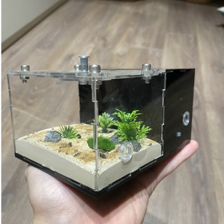 Tank nuôi kiến, tổ nuôi kiến, nhà cho kiến, tank kiến đứng mini