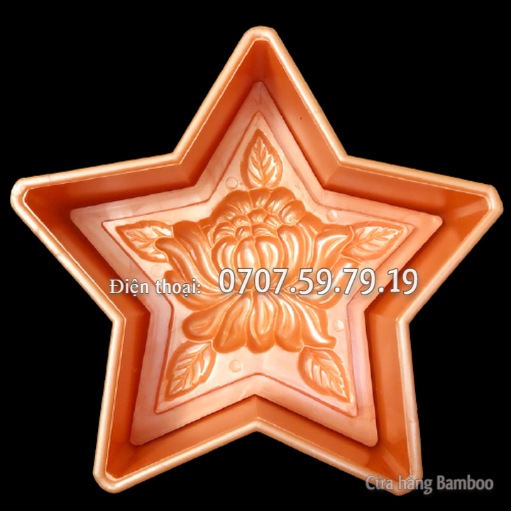 Khuôn ngôi sao hoa cúc size 22 cm - Khuôn ép xôi – Mã số 1536