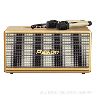 Loa karaoke xách tay cao cấp Paramax Passion 2C
