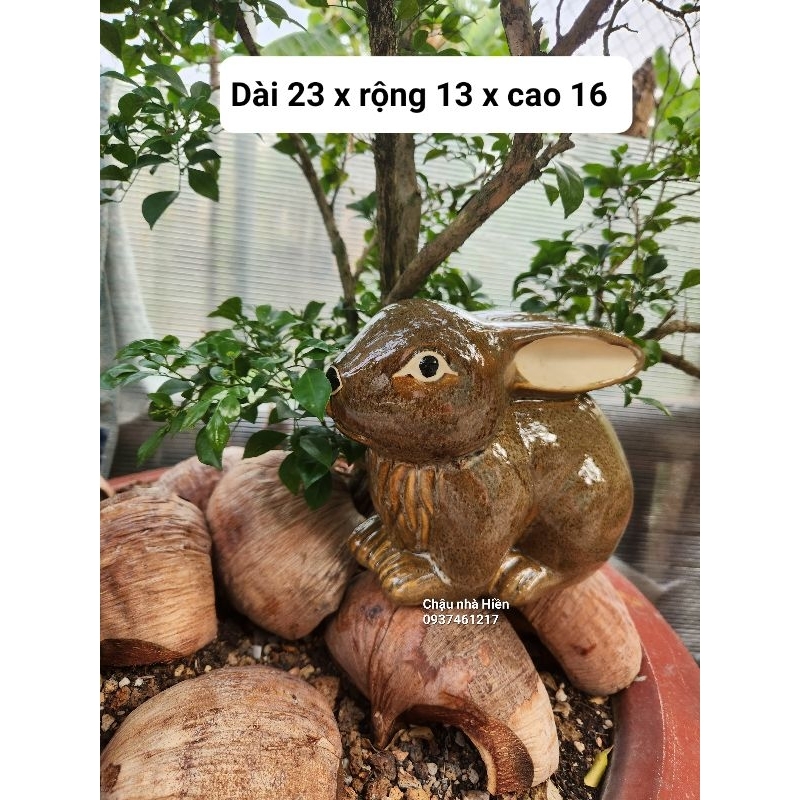 Thỏ đất nung lớn tráng men trang trí sân vườn, tiểu cảnh