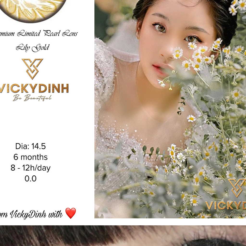 Pearl Lens VICKYDINH LILY chính hãng, kính áp tròng xuất xứ Hàn Quốc cao cấp sang trọng