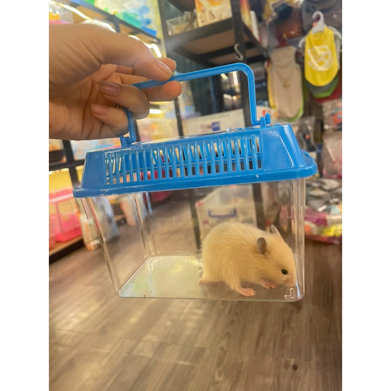 Hộp mika đựng hamster,bò sát hoặc nuôi cá cảnh .