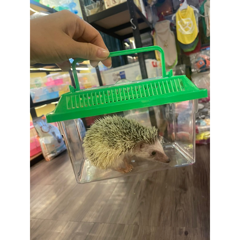 Hộp mika đựng hamster,bò sát hoặc nuôi cá cảnh .