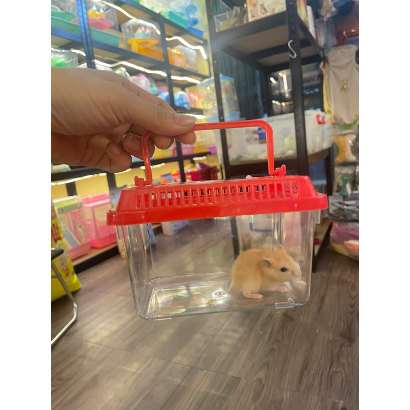 Hộp mika đựng hamster,bò sát hoặc nuôi cá cảnh .
