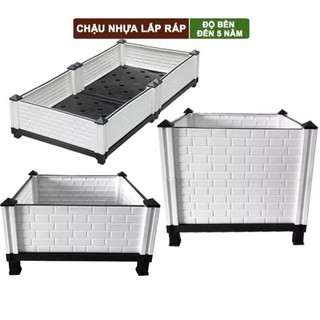 Chậu lắp ghép trồng cây thông minh nhiều size 80x40x20cm