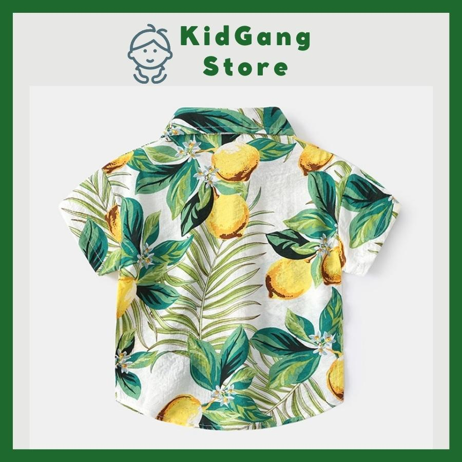 Áo sơ mi bé trai, áo sơ mi bé gái  từ 2-9 tuổi