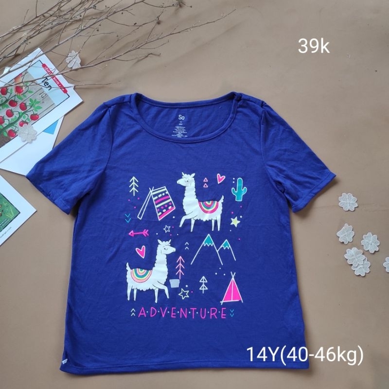 Áo phông bé xuất dư 14Y