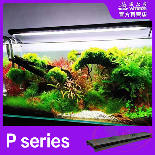 Đèn led Week Raptor RGB-UV Pro P series P600 quang phổ bể thủy sinh cá tép cảnh