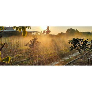 ỐNG DÂY TƯỚI PHUN MƯA PHI 27-34-42