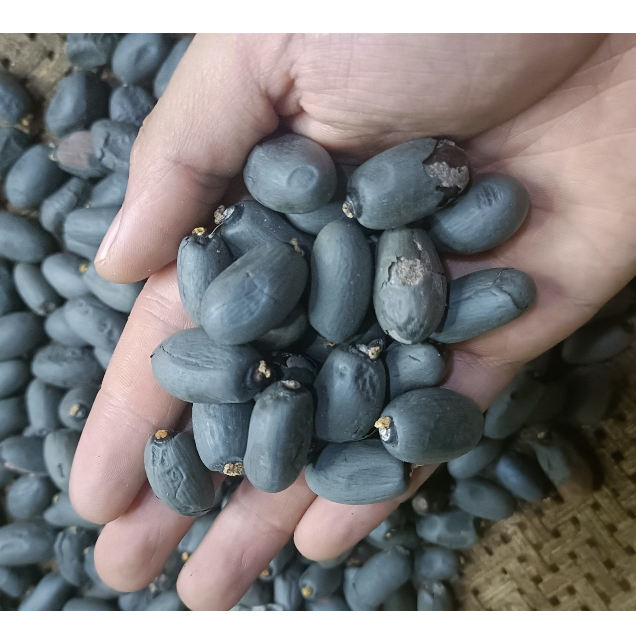 200gram hạt Trôm