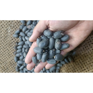 100gram hạt Trôm (hạt mủ Trôm)