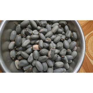 10 hạt mủ Trôm giống