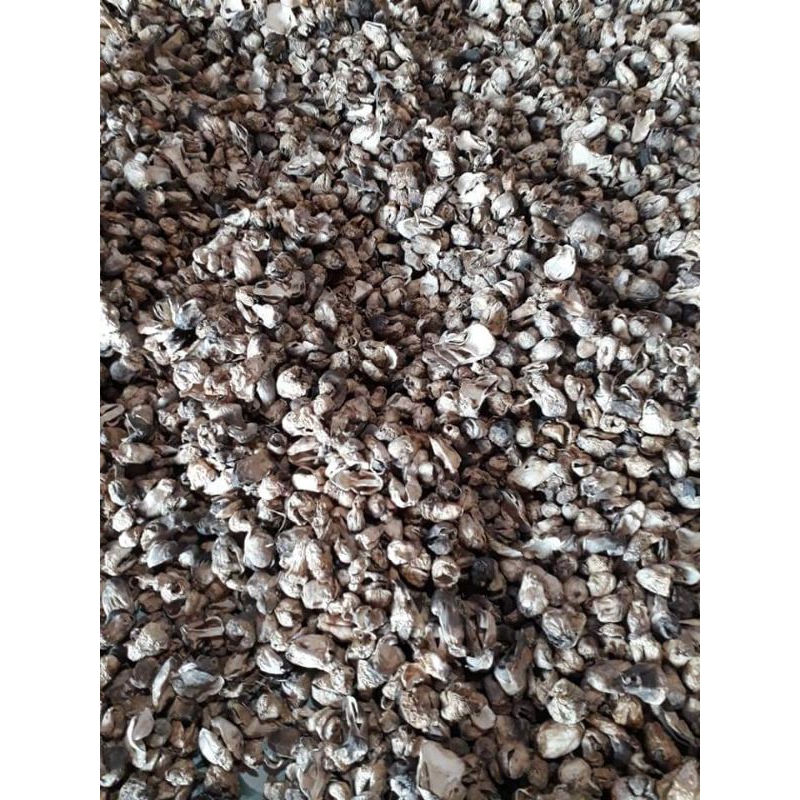 Nấm Rơm Loại Búp Sấy Khô 500g