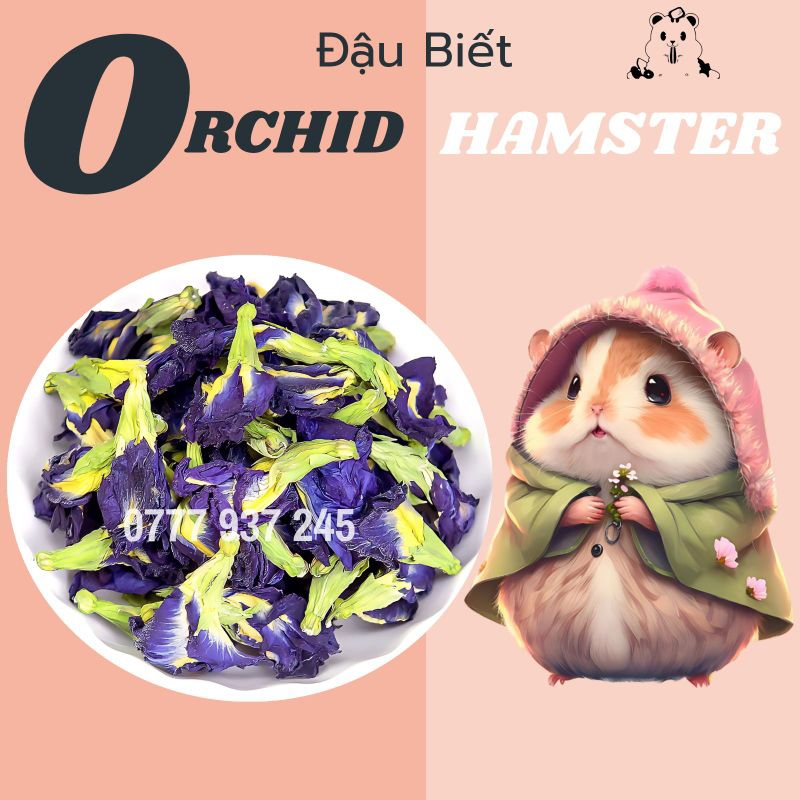 Hoa Đậu Biếc Giải Nhiệt Cho Hamster