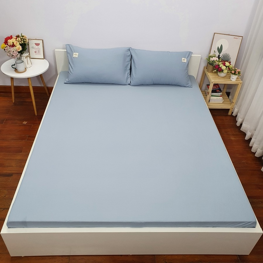 Ga giường Cotton cao cấp Maybedding (kèm 2 vỏ gối). Bộ Ga trải nệm giường Tici drap bọc đệm 1m2 1m6 1m8 2m2