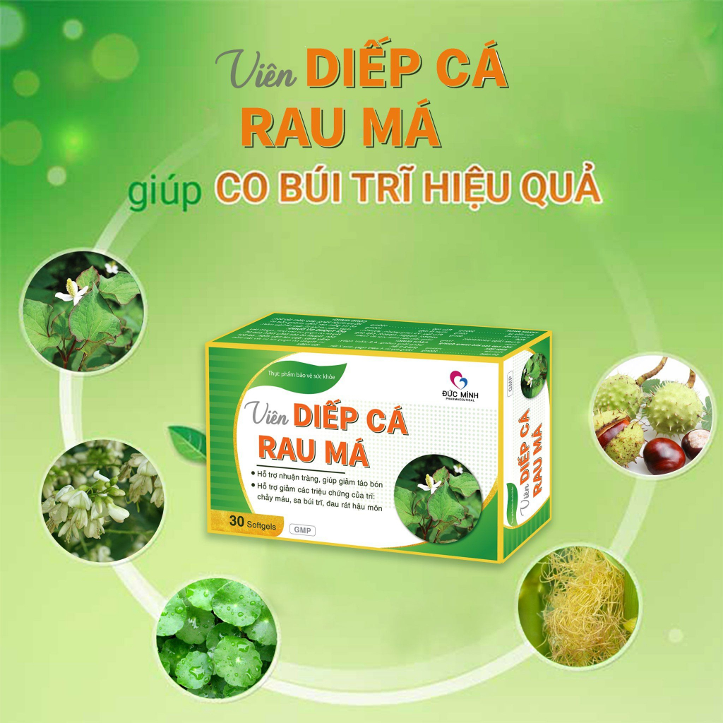 Viên rau diếp cá – Rau má - Giúp mát gan, giảm sa búi trĩ