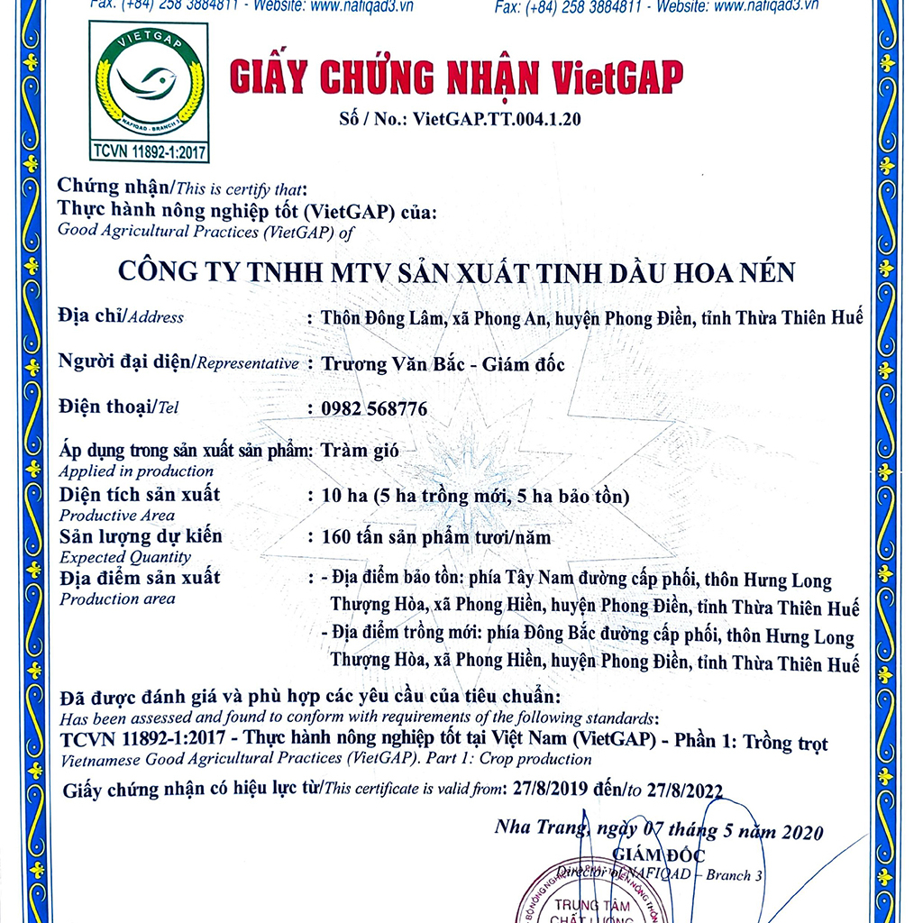 Tinh dầu Tràm Huế nguyên chất Hoa Nén - chuẩn VietGAP - Chăm sóc sức khoẻ mẹ và bé - 100ml