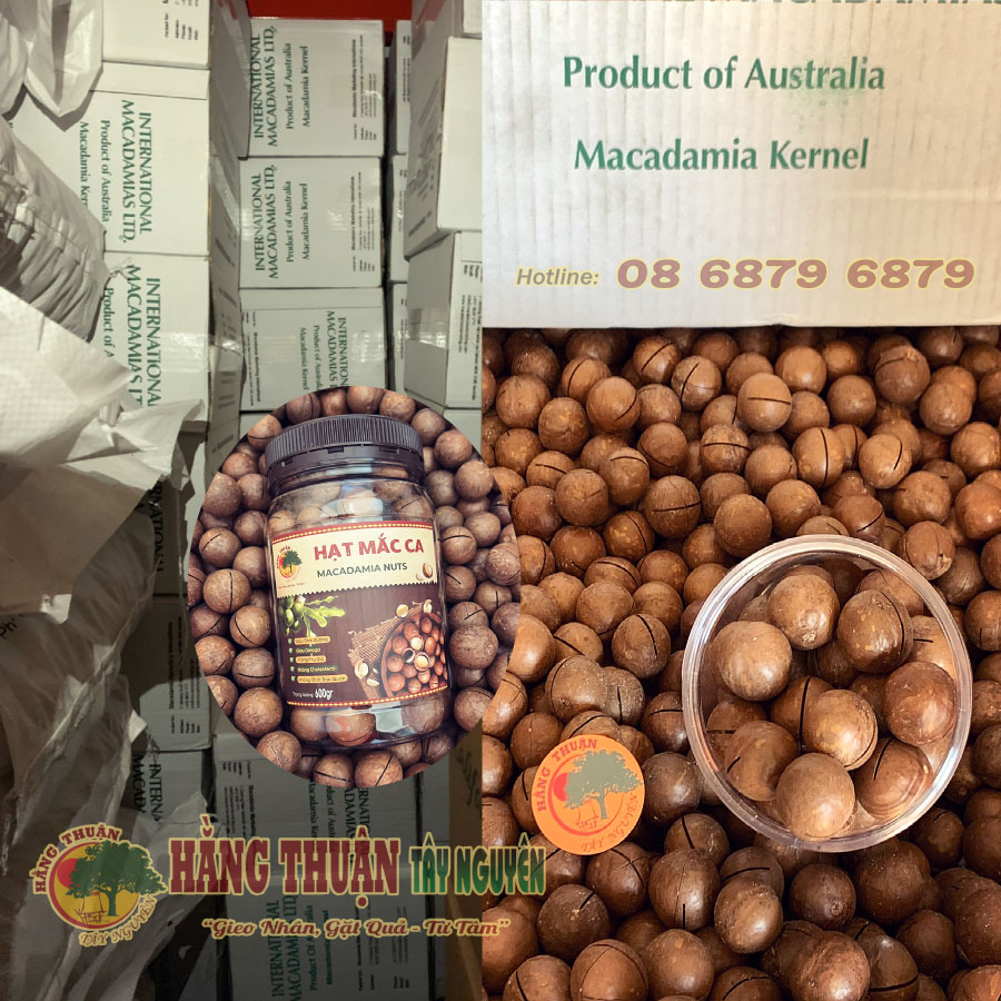 Hạt Maccadamia Kernel [Nguyên Vỏ]
