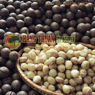 Hạt Maccadamia Kernel [Nguyên Vỏ]