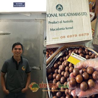 Hạt Maccadamia Kernel [Nguyên Vỏ]