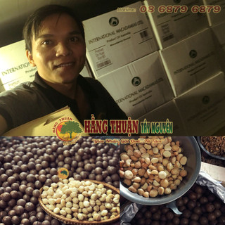 Hạt Maccadamia Kernel [Nguyên Vỏ]