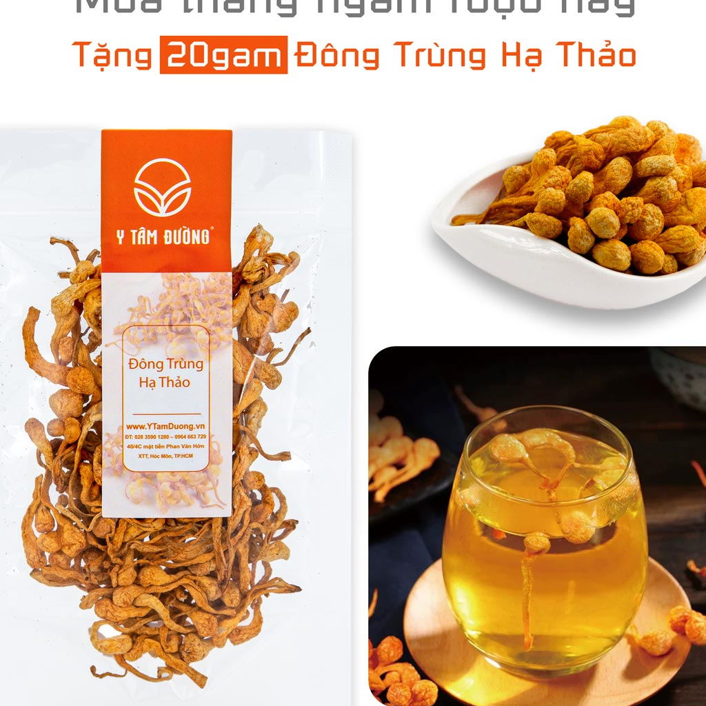 Thang ngâm rượu Sâm Nhung Hải Mã