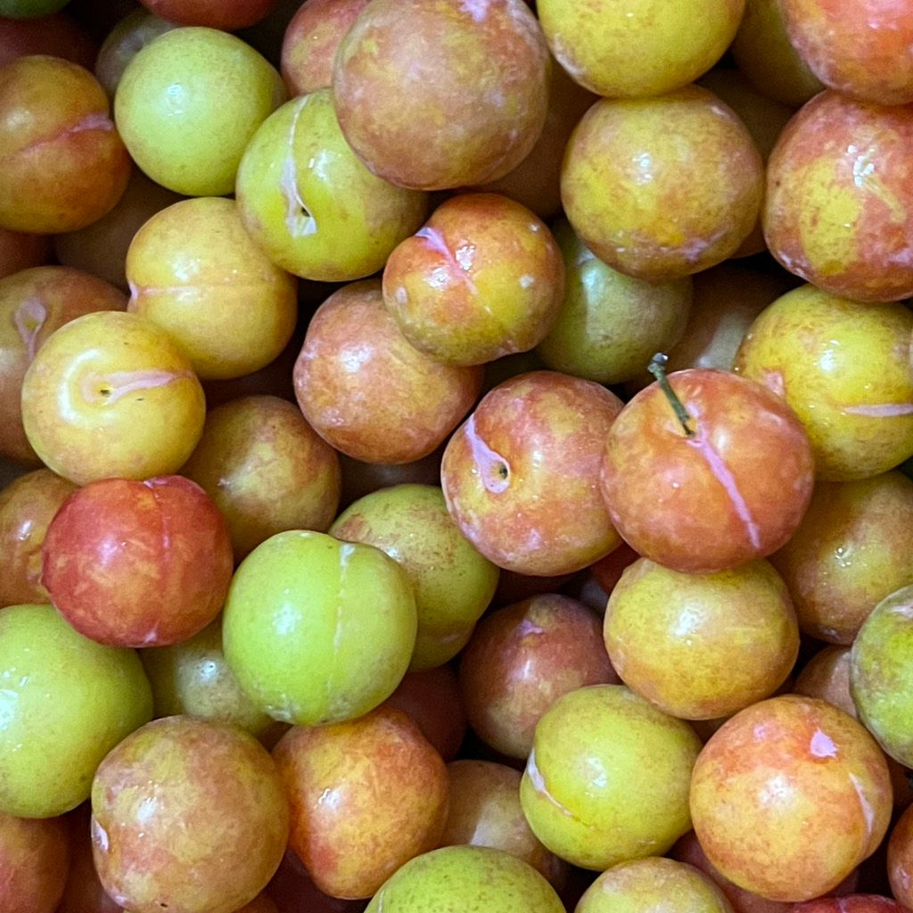 1kg Mận cơm chín Sơn La