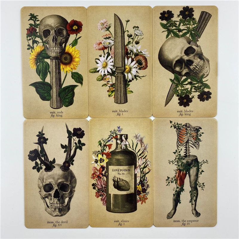 Bộ bài The Antique Anatomy Tarot Hộp sắt Nifoki