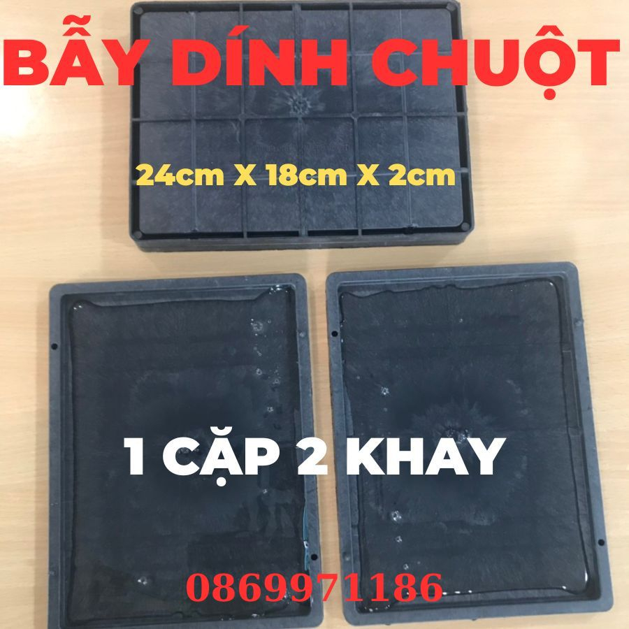 Bẫy dính chuột - Bắt chuột hiệu quả sạch sẽ - Bẫy được cả chuột to