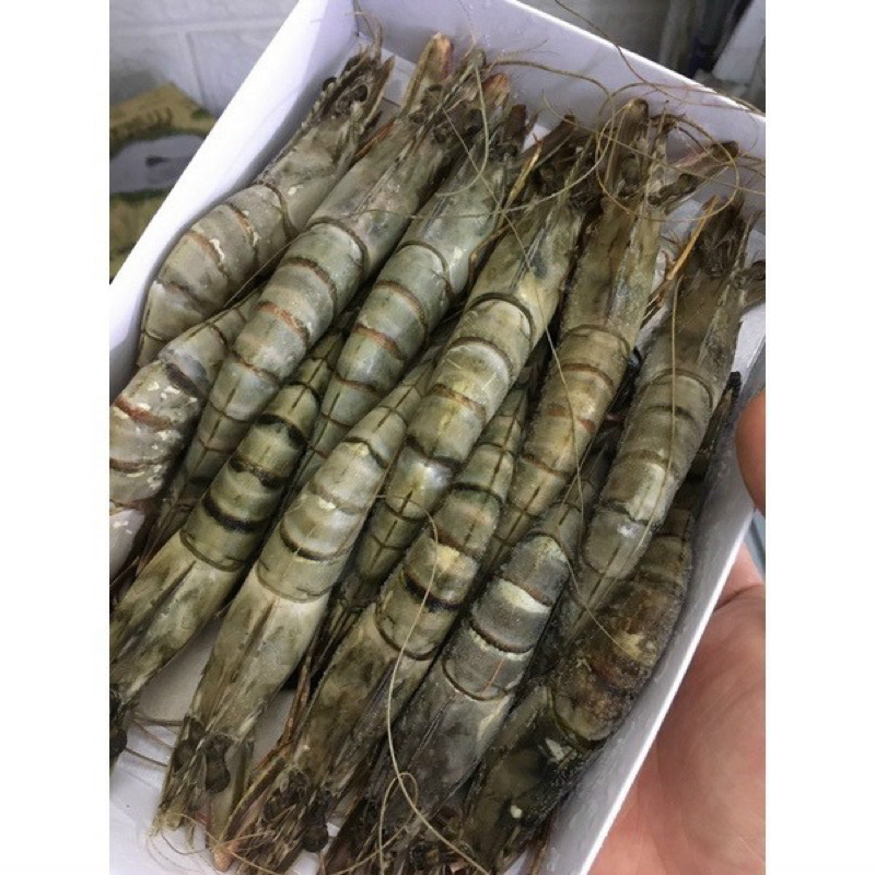 Tôm sú siêu to size 18 con 💥FREE SHIP💥 1 hộp ăn lẩu , nướng ngon ngọt