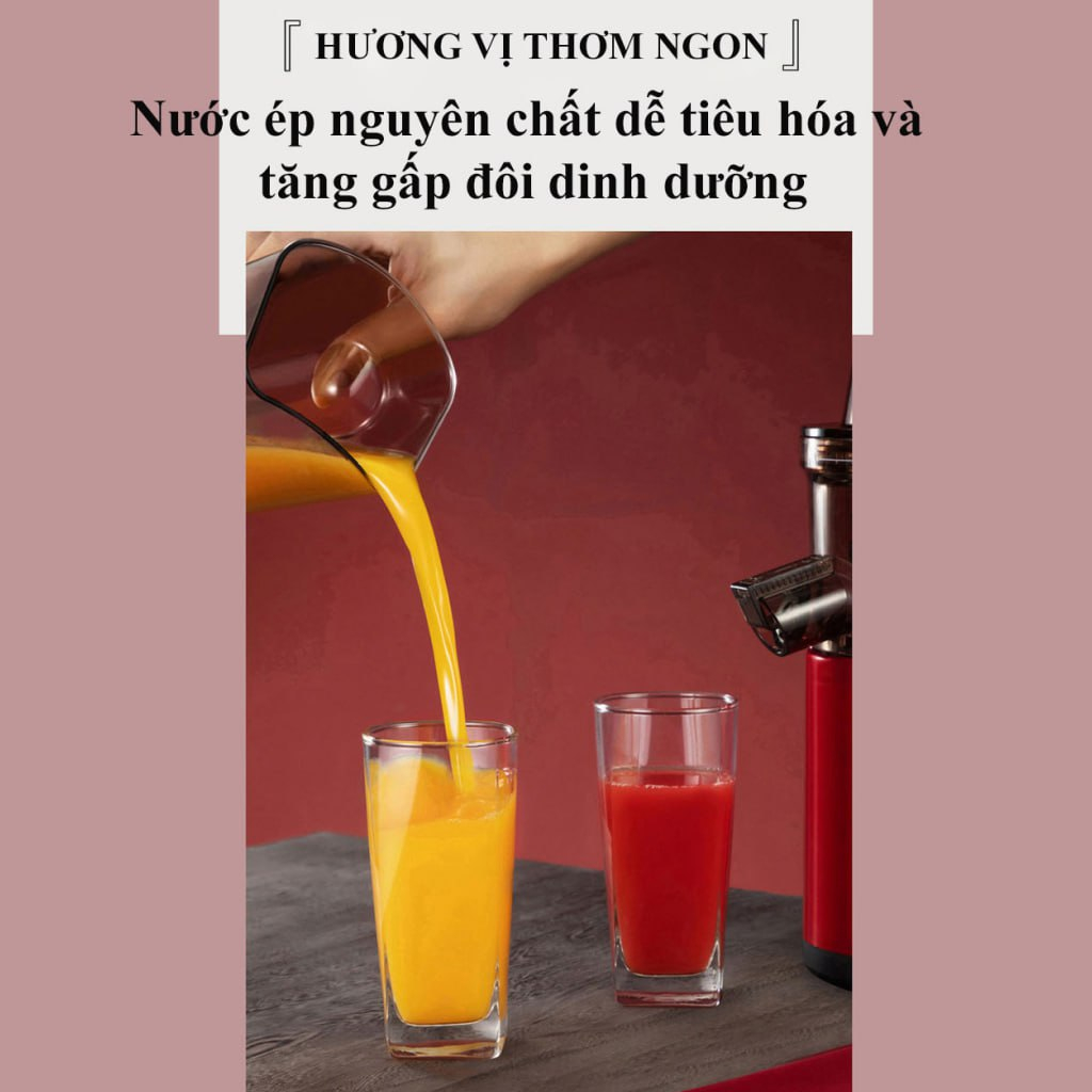 Máy ép chậm SOKANY công suất 300W, có thể làm kem cao cấp chính hãng, vắt kiệt nước 100% - REKKY