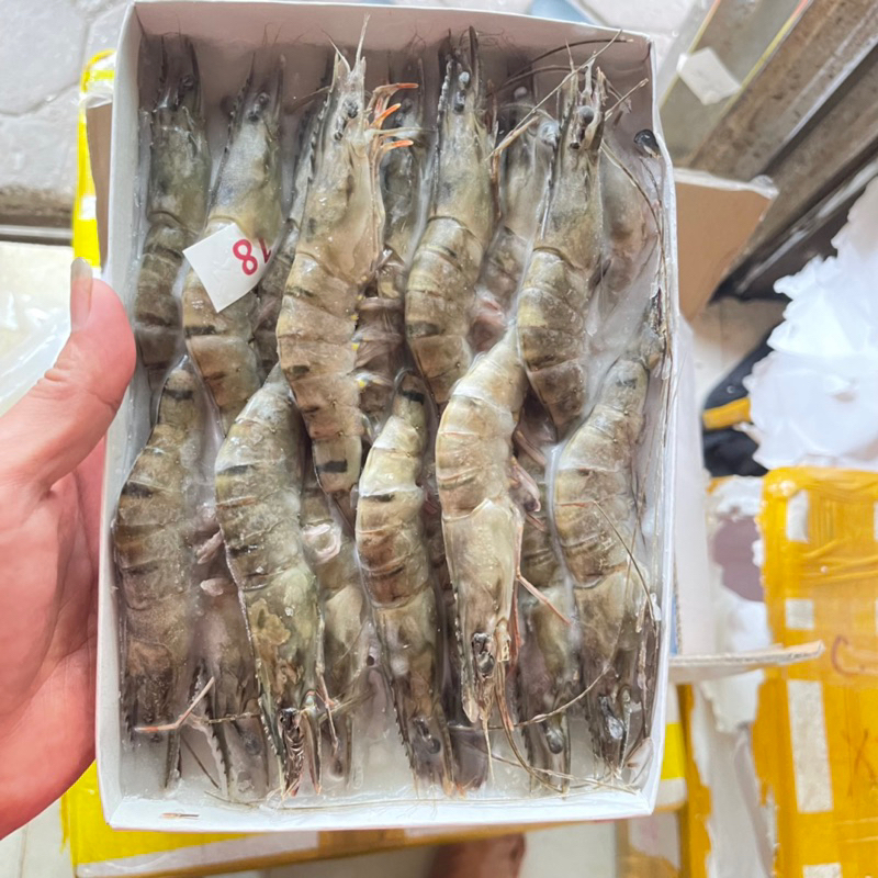 Tôm sú siêu to size 18 con 💥FREE SHIP💥 1 hộp ăn lẩu , nướng ngon ngọt