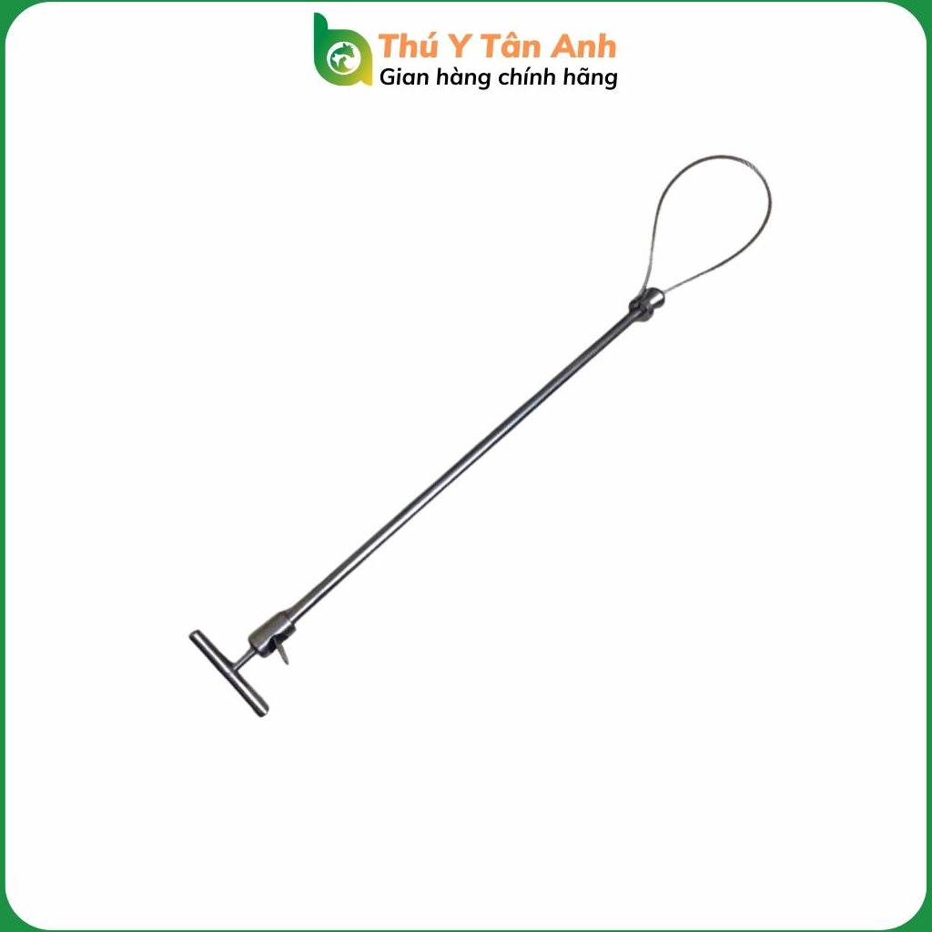 Gậy khoá mõm heo, khớp mõm lợn, gậy bắt chó