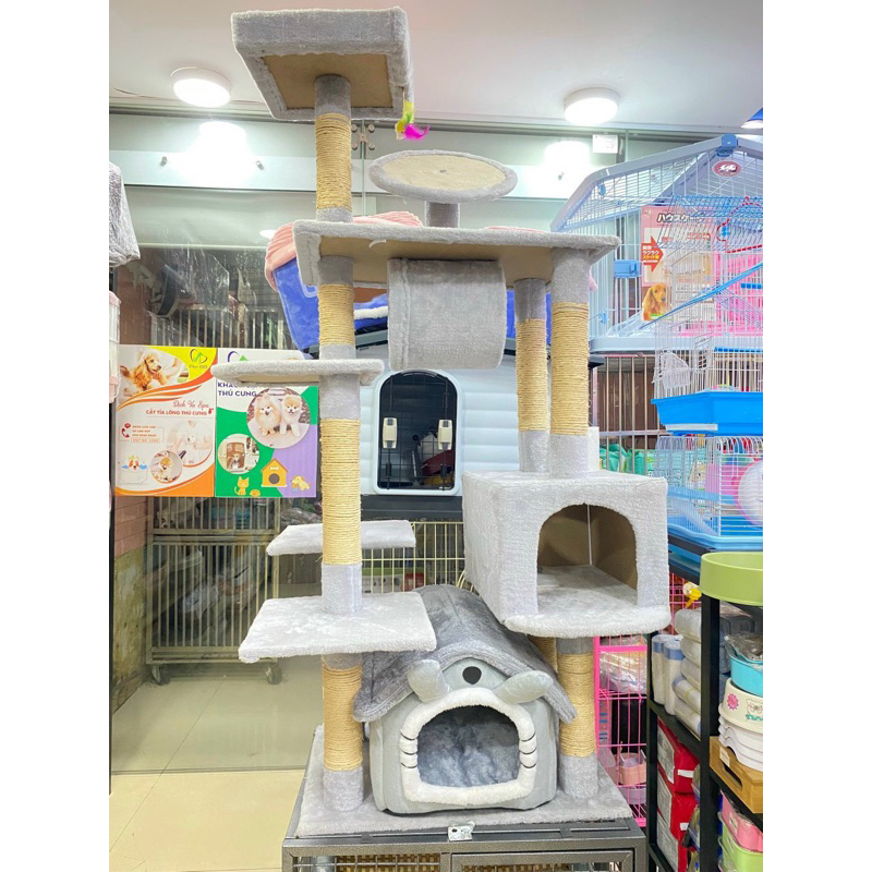 Đồ chơi trụ cào móng cho mèo - Cattree đồ chơi nhà cây cho mèo