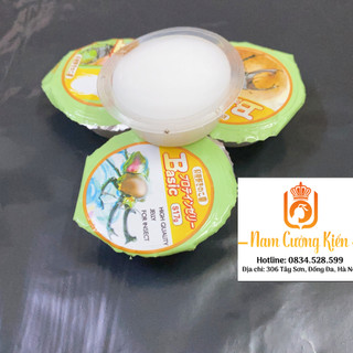 Đồ cho kiến ăn, thạch cho kiến ăn sạch cung cấp đầy đủ dinh dưỡng