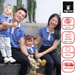 Combo áo thun polo gia đình fig tree sọc trắng xanh new