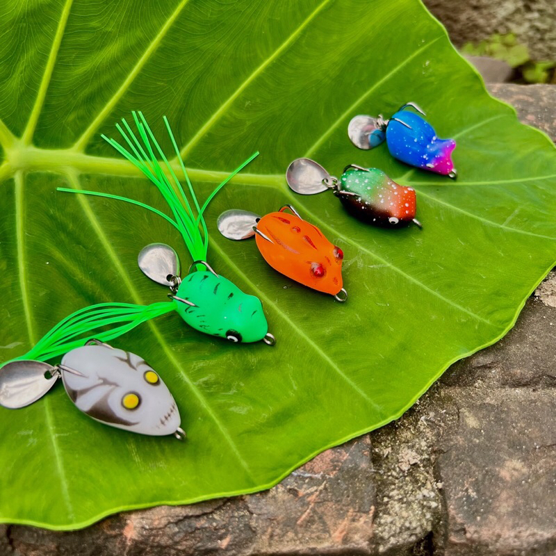 Hộp mồi nhái 5 con câu lure