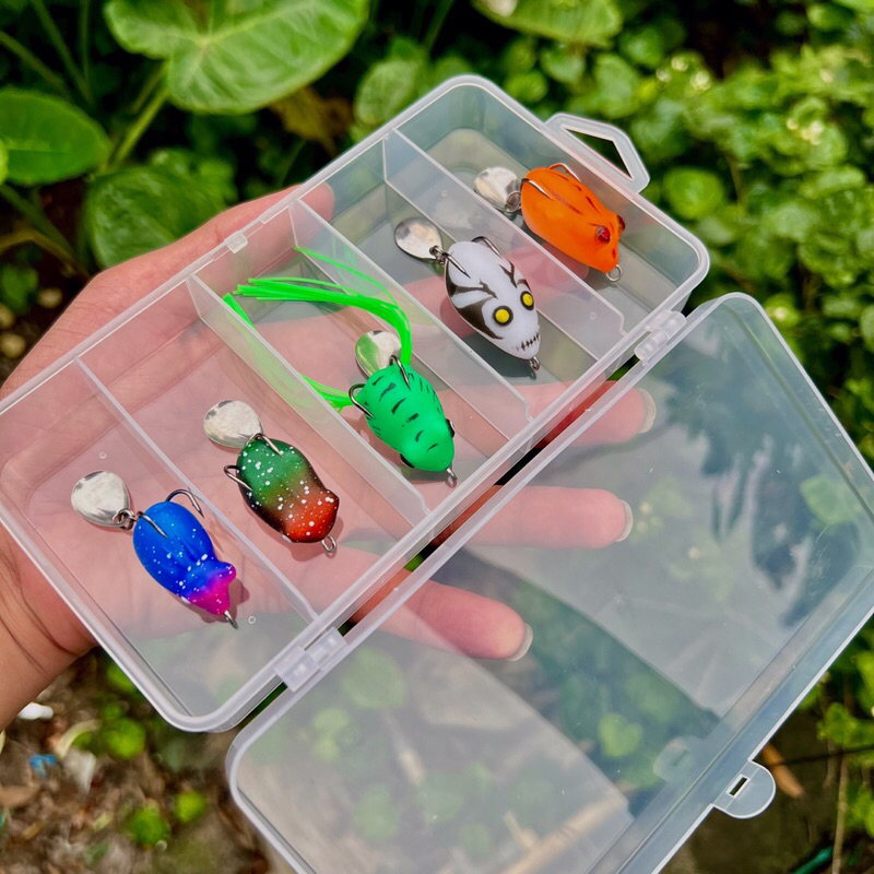 Hộp mồi nhái 5 con câu lure