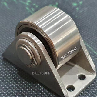 Bánh xe inox 304 tải trọng 200kg, KT 17x30mm - BX1730PP