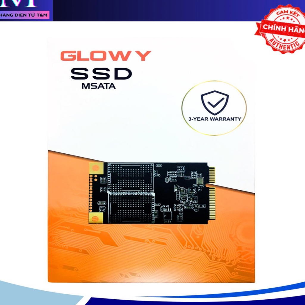 SSD MSata 128GB/256GB GLOWAY Chính hãng