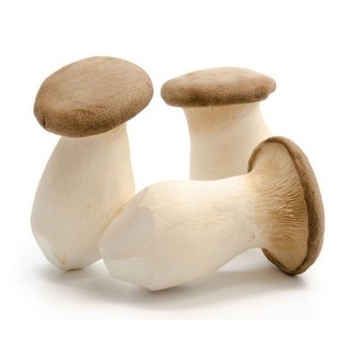 Nấm đùi gà mushroom 버섯
