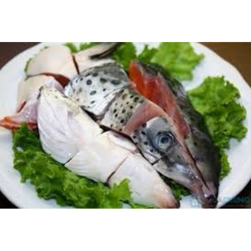ĐẦU CÁ HỒI NAUY
